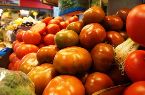 tomates-alcalina